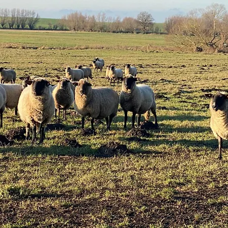 Aparthotel Am Schlosspark 3*