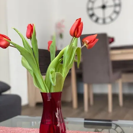 Aparthotel Am Schlosspark Mallin